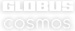 The Team 10 globus cosmos logo