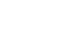 The Team 20 la coleccion logo
