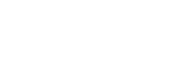 The Team 16 los angeles logo