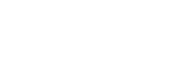 The Team 43 nevada logo