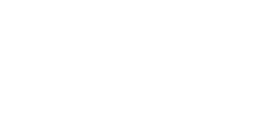 The Team 46 peru logo